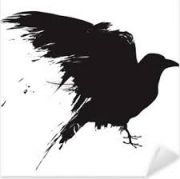 corbeau-3