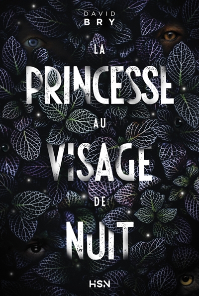 Couv Princesse au visage de nuit